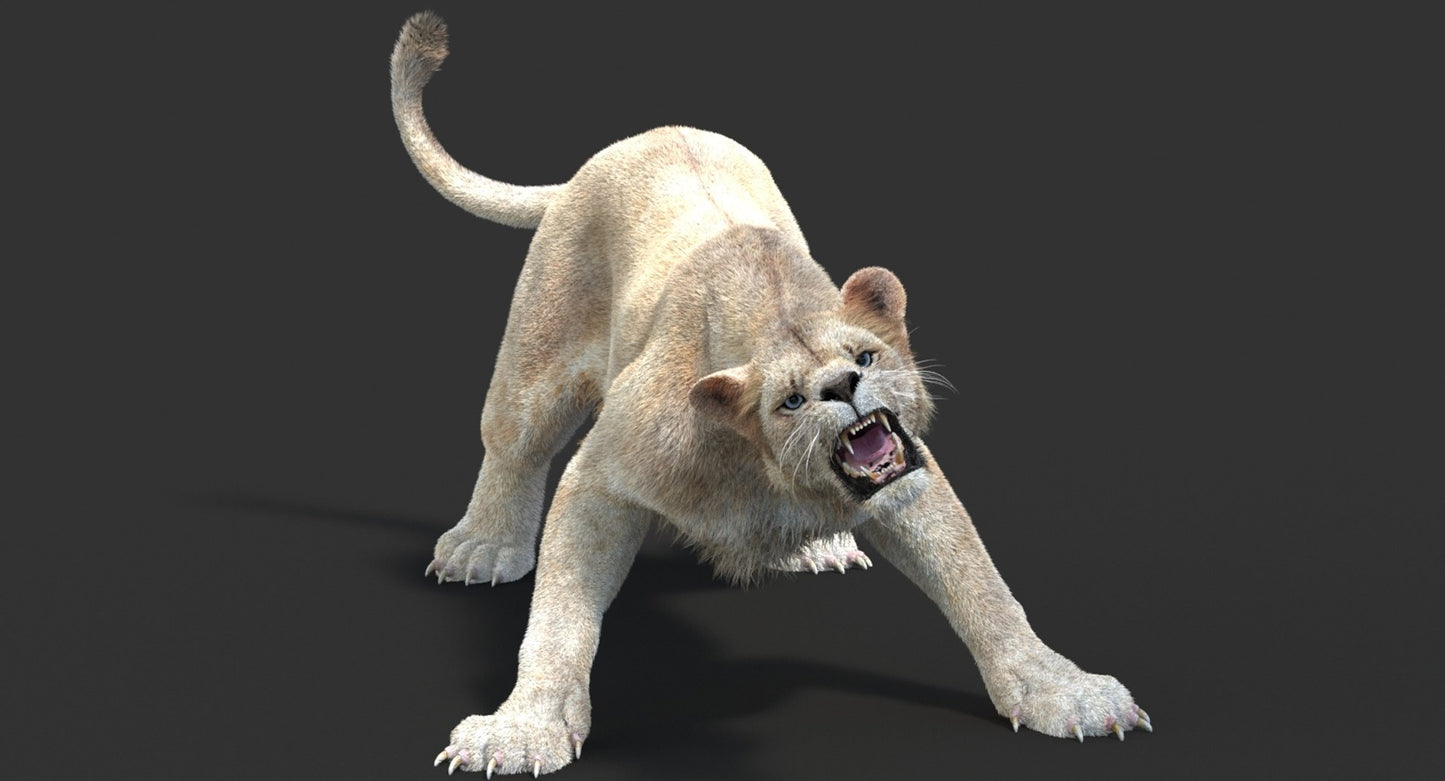 Animated Lioness Fur 3D Model Two Colors