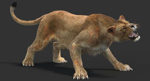 Animated Lioness 3D Model - Hair and Fur | Two Colors Thumbnail