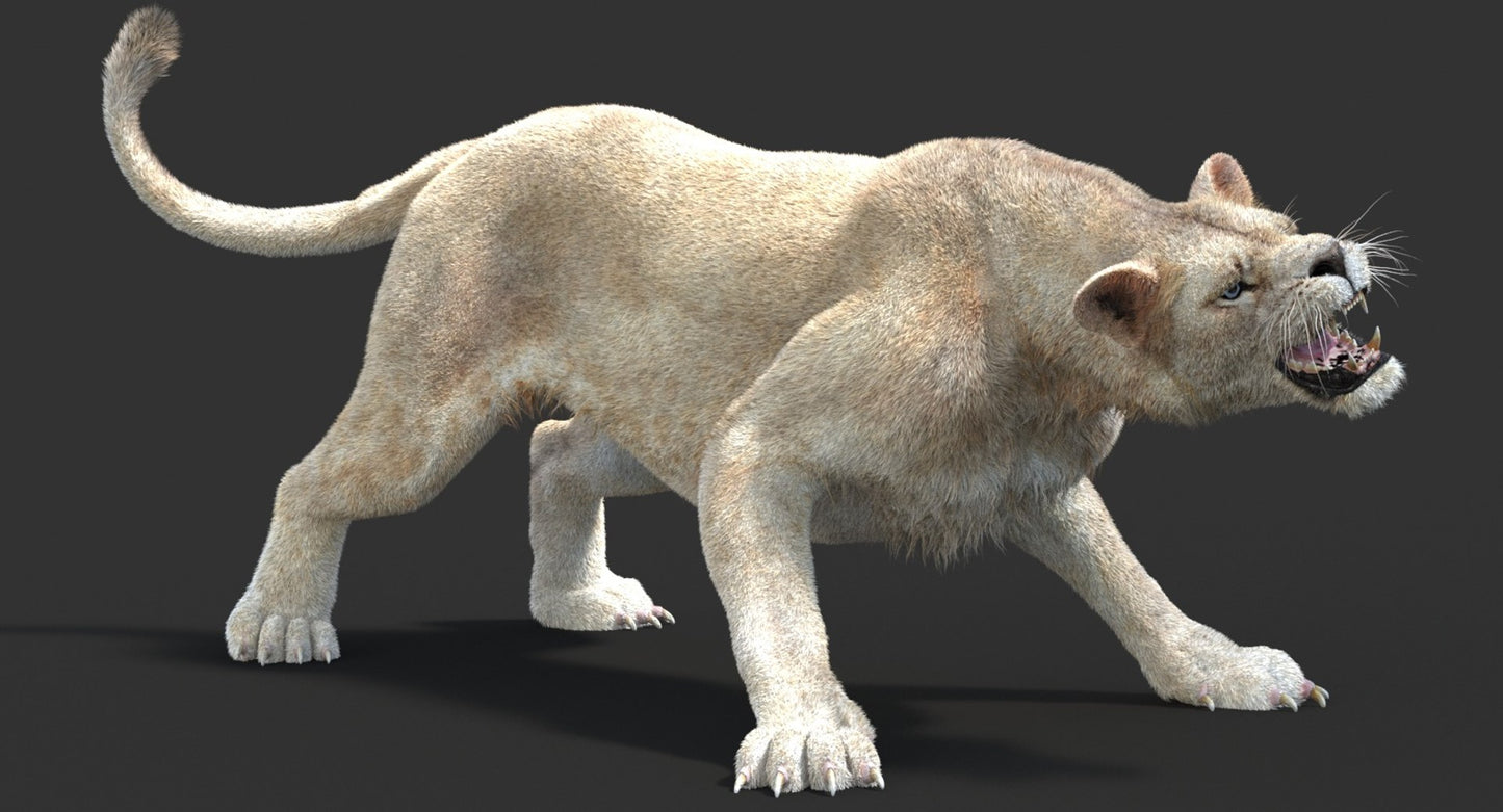 Animated Lioness Fur 3D Model Two Colors