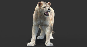 Animated Lioness Fur 3D Model Two Colors Thumbnail