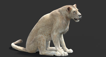 Animated Lioness Fur 3D Model Two Colors