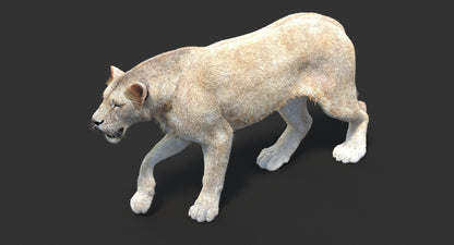 Animated Lioness Fur 3D Model Two Colors