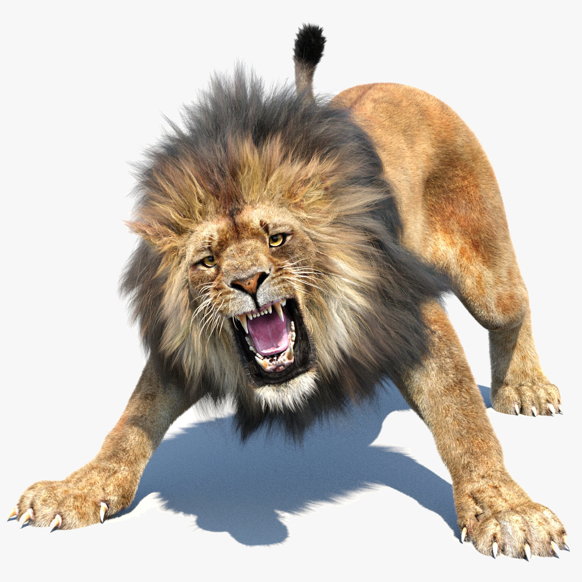 Animated Lion 3D Model with Fur