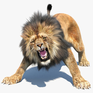 Animated Lion 3D Model with Fur Thumbnail