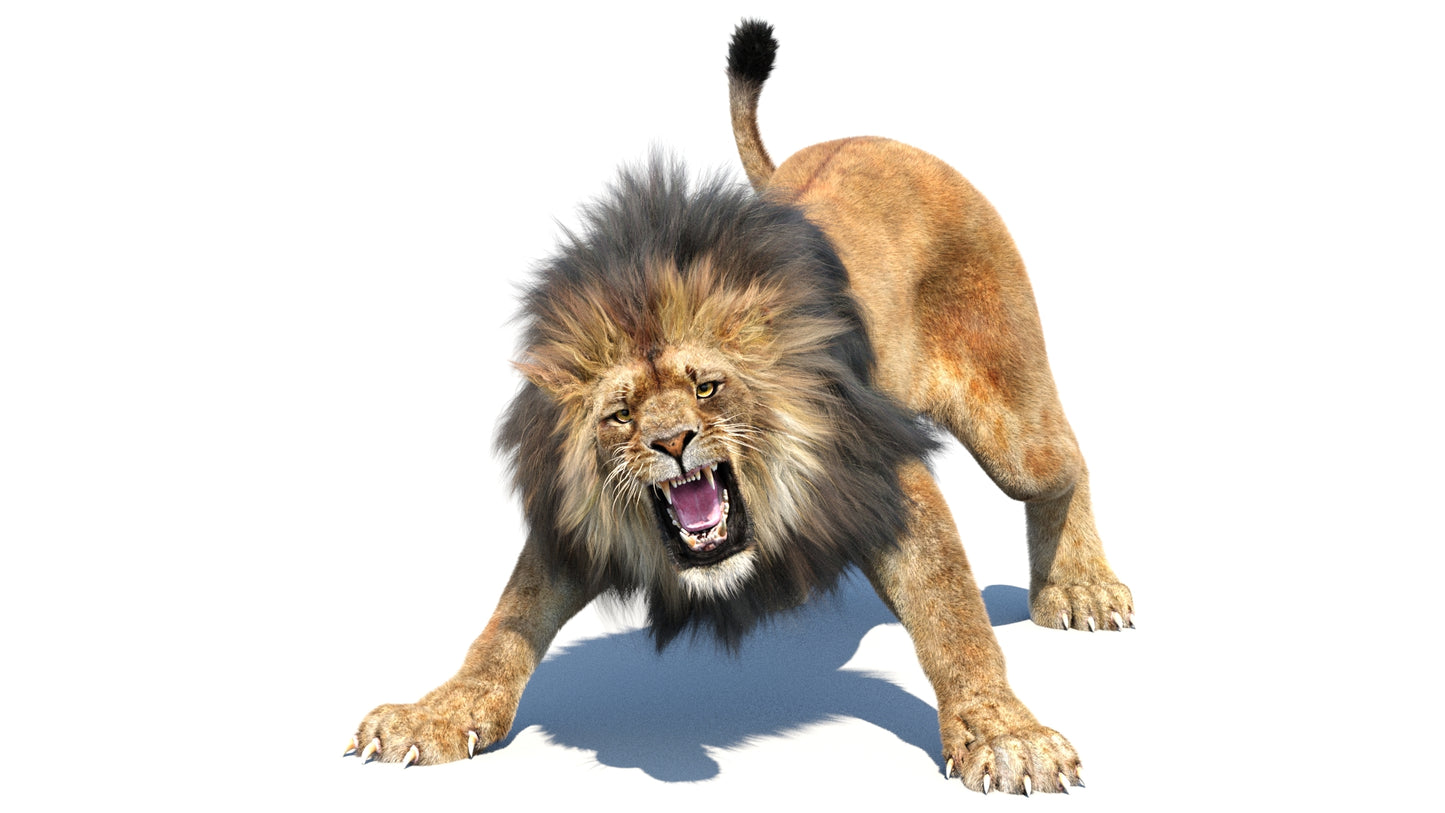 Animated Lion 3D Model Fur