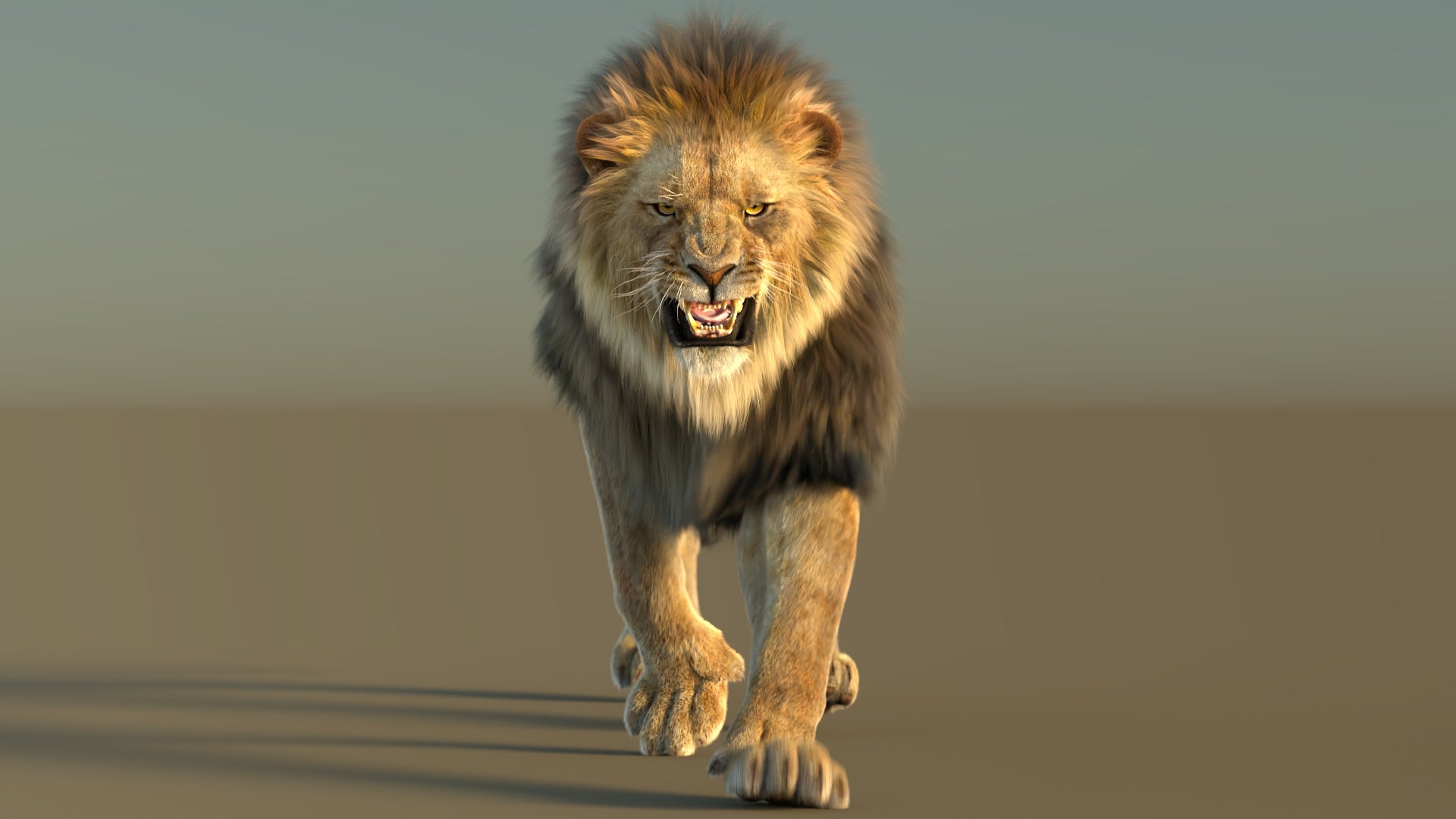 Animated lion 3d model with fur arnold renderer roaring