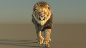 Animated lion 3d model with fur arnold renderer roaring Thumbnail