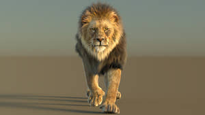 Animated lion 3d model with fur 3ds max scene Arnold renderer Thumbnail