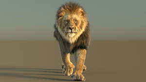 Animated lion 3d model with fur 3ds max scene Arnold renderer Thumbnail