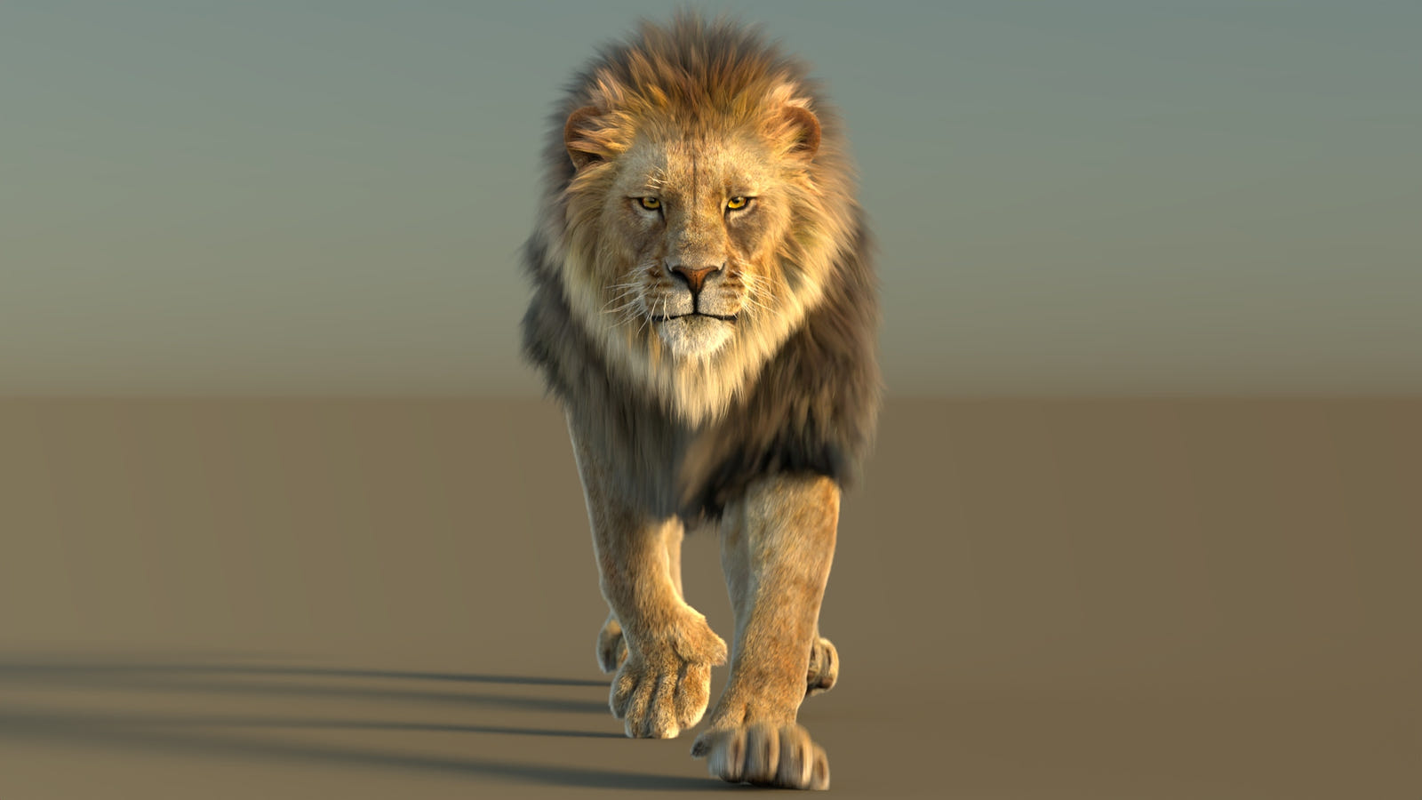Animated lion 3d model with fur 3ds max scene Arnold renderer