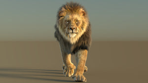 Animated lion 3d model with fur 3ds max scene Arnold renderer Thumbnail
