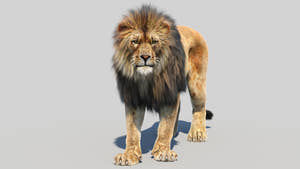 Animated Lion 3D Model with Fur Thumbnail