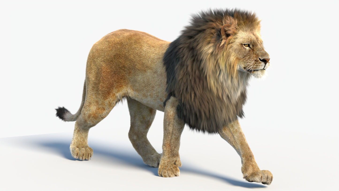 Big Cat 3D Model Rigged Animated Fur Bundle