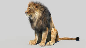Animated Lion 3D Model with Fur - Sitting Pose Thumbnail