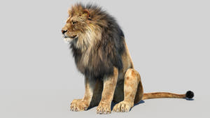 Animated Lion 3D Model with Fur - Sitting Pose Thumbnail