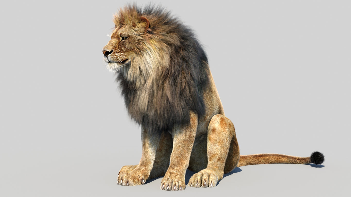 Animated Lion 3D Model Fur