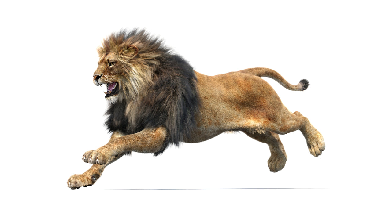 Animated Lion 3D Model with Fur - Running Animation Loop