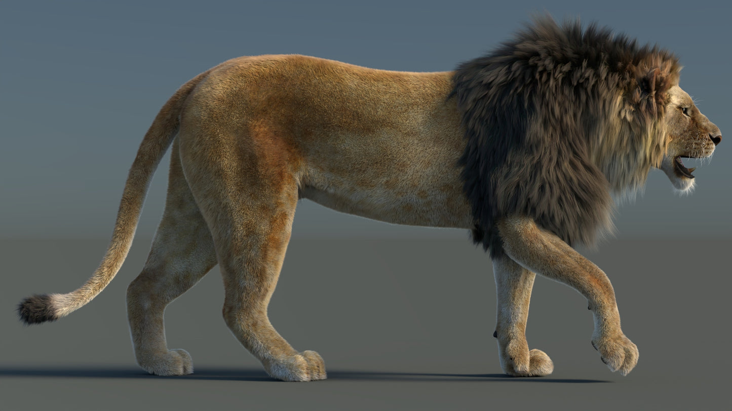 Big Cat 3D Model Rigged Animated Fur Bundle