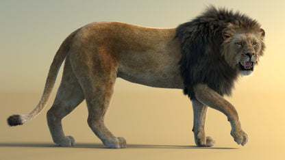 Big Cat 3D Model Rigged Animated Fur Bundle