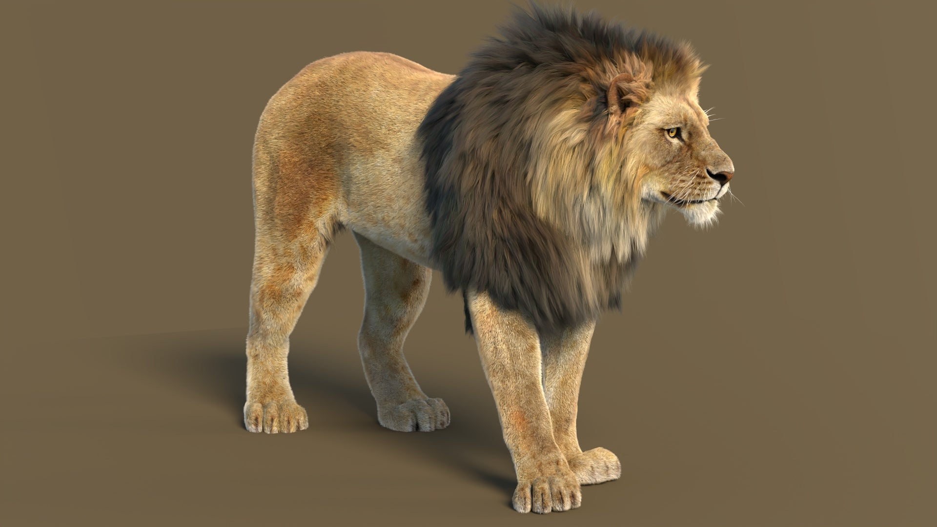 3D rendered lion on a brown background
