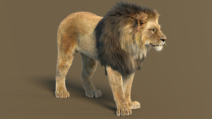 Big Cat 3D Model Rigged Animated Fur Bundle