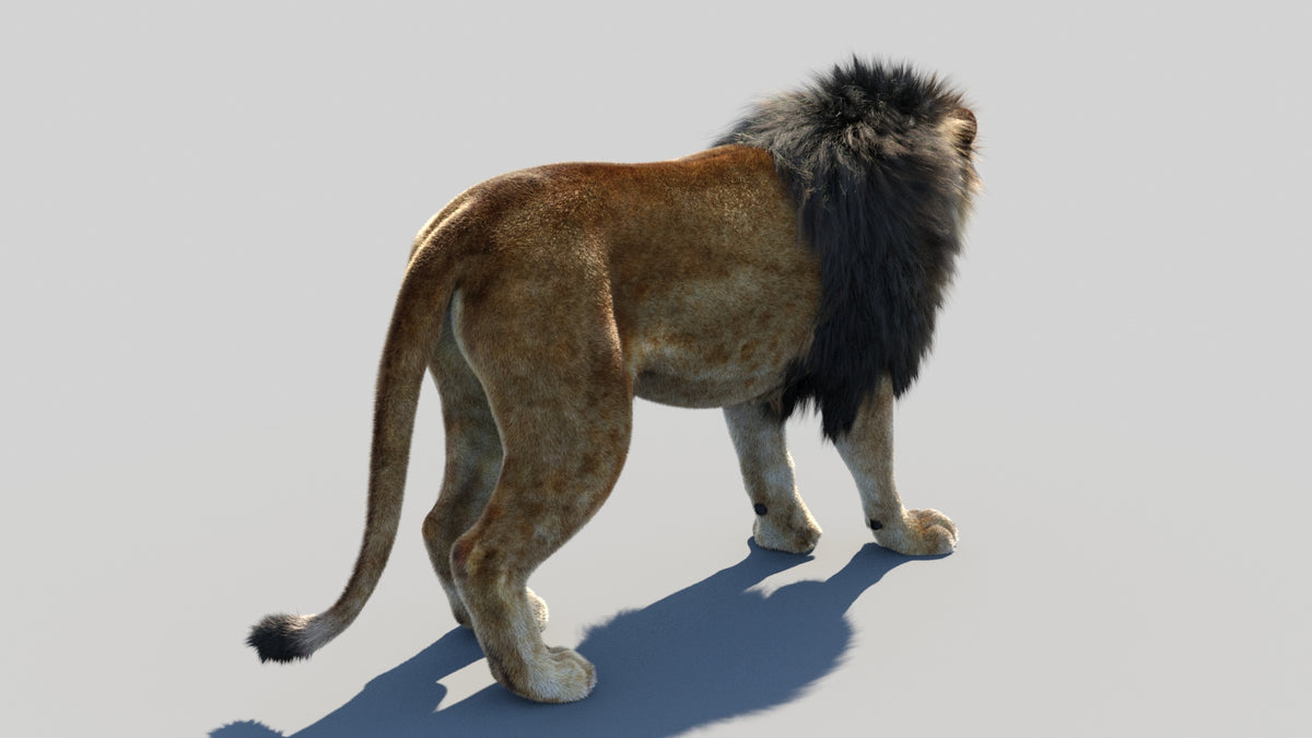 Animated Lion 3D Model with Realistic Groomed Hair and Fur - 3ds Max Scene