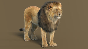 Realistic Lion 3D Model for Download Thumbnail