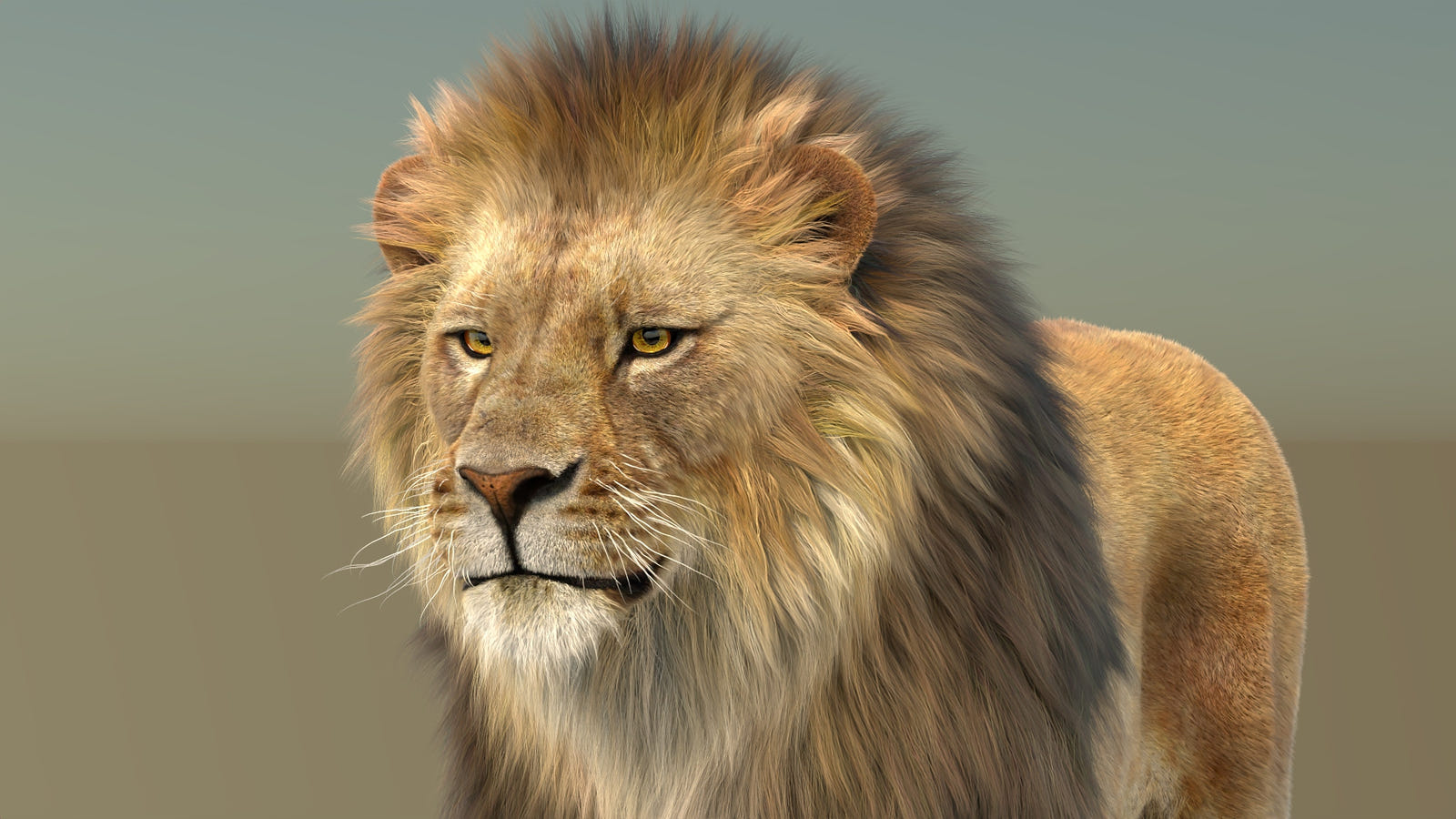 Hyper-Realistic lion 3d model: Head close up rendering