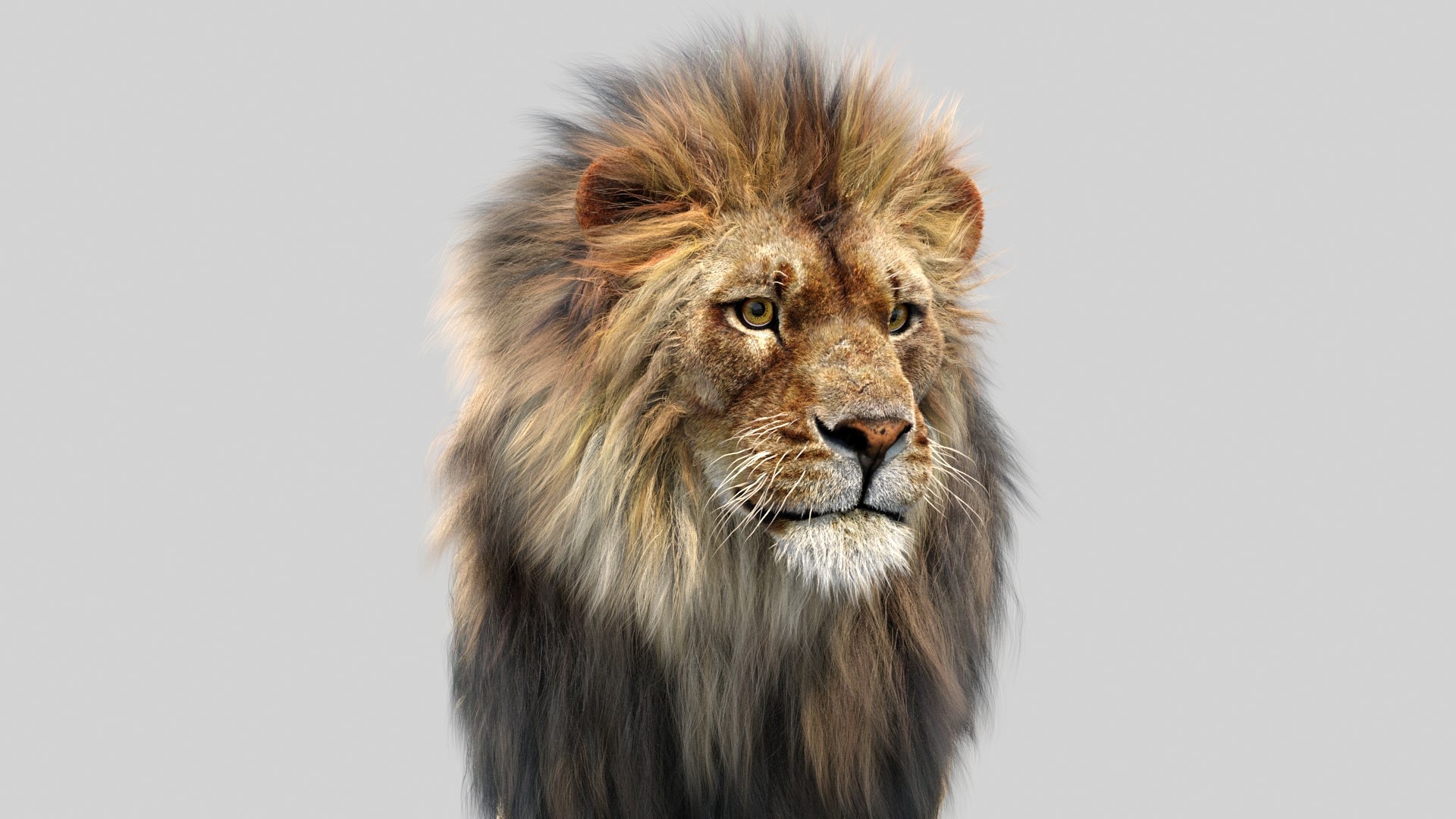 Animated Lion 3D Model with Fur for Download