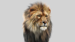 Big Cats Ultimate 3d Models Bundle Thumbnail