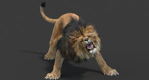 Animated Lion 3D model roaring on a dark background - V-ray Thumbnail