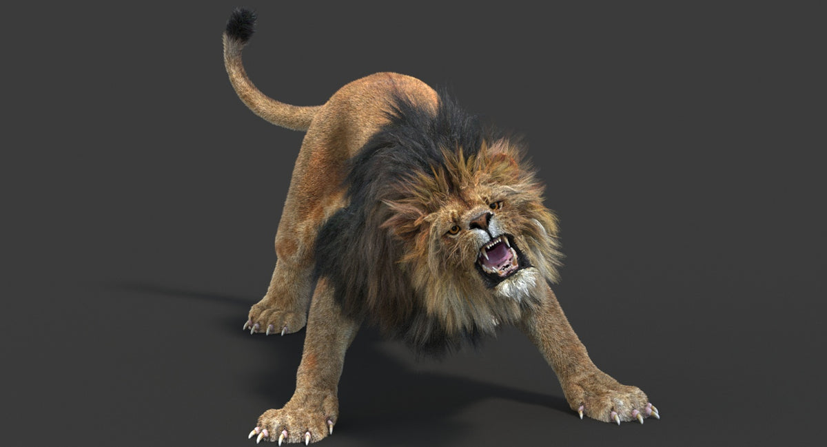 Animated Lion 3D model roaring on a dark background - V-ray