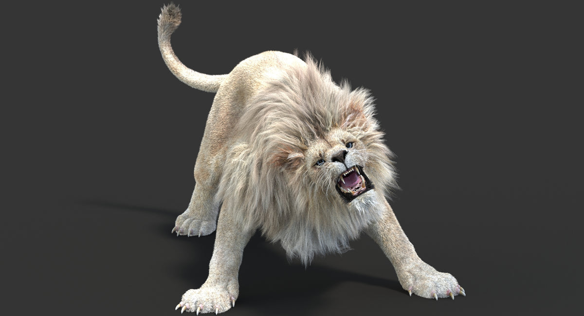 Animated White lion 3D model roaring on a black background