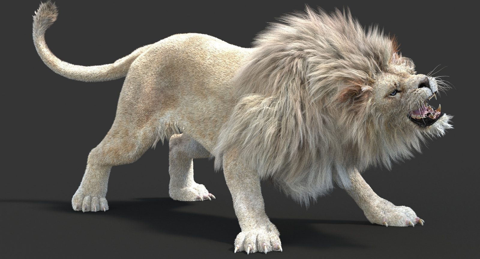 3D model of a roaring white lion