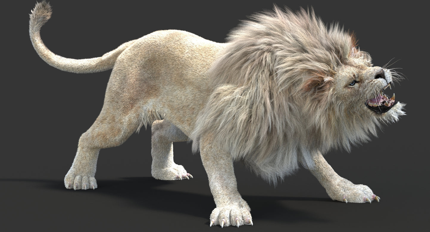 Animated Lion with Fur Two Colors 3D Model
