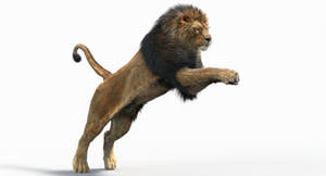 Animated Lion 3D Model - Hair and Fur | Two Colors / V-Ray Thumbnail