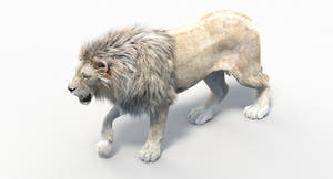 Animated Lion 3D Model - Hair and Fur | Two Colors / V-Ray Thumbnail