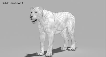 Animated Lion with Fur Two Colors 3D Model