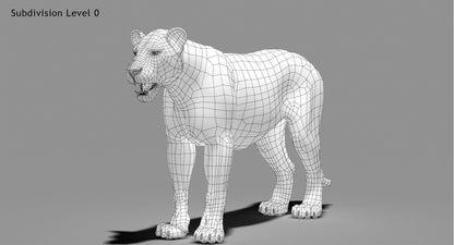 Animated Lioness Fur 3D Model Two Colors