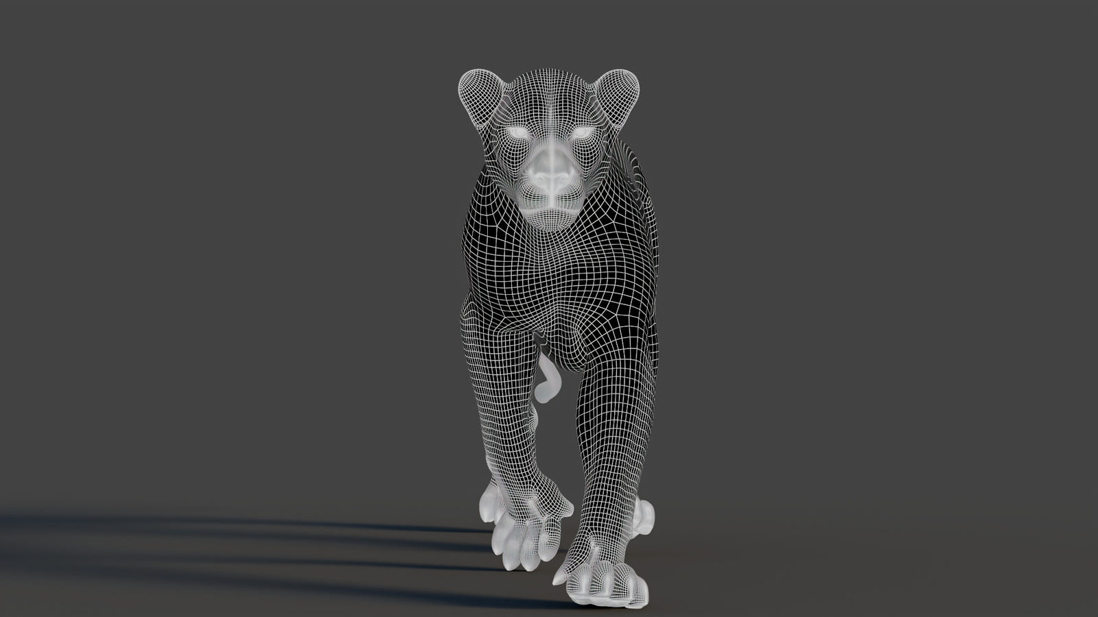 Lifelike Lion 3D Model Wireframe view 1