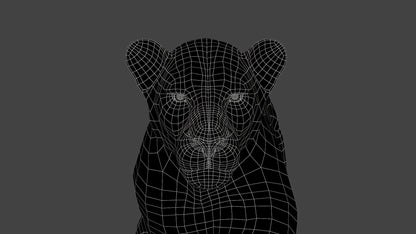 Big Cat 3D Model Rigged Animated Fur Bundle