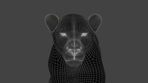 Animated Lion Family 3D Models – Lion, Lioness and Cub Thumbnail