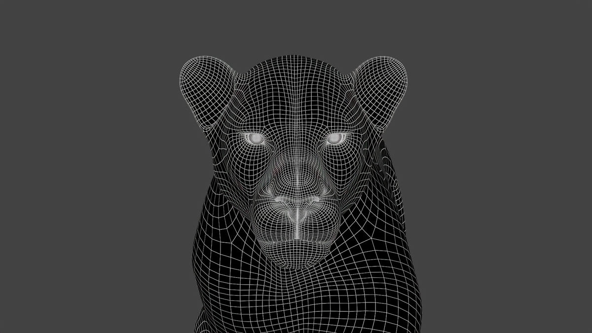 Animated Lion Family 3D Models – Lion, Lioness and Cub