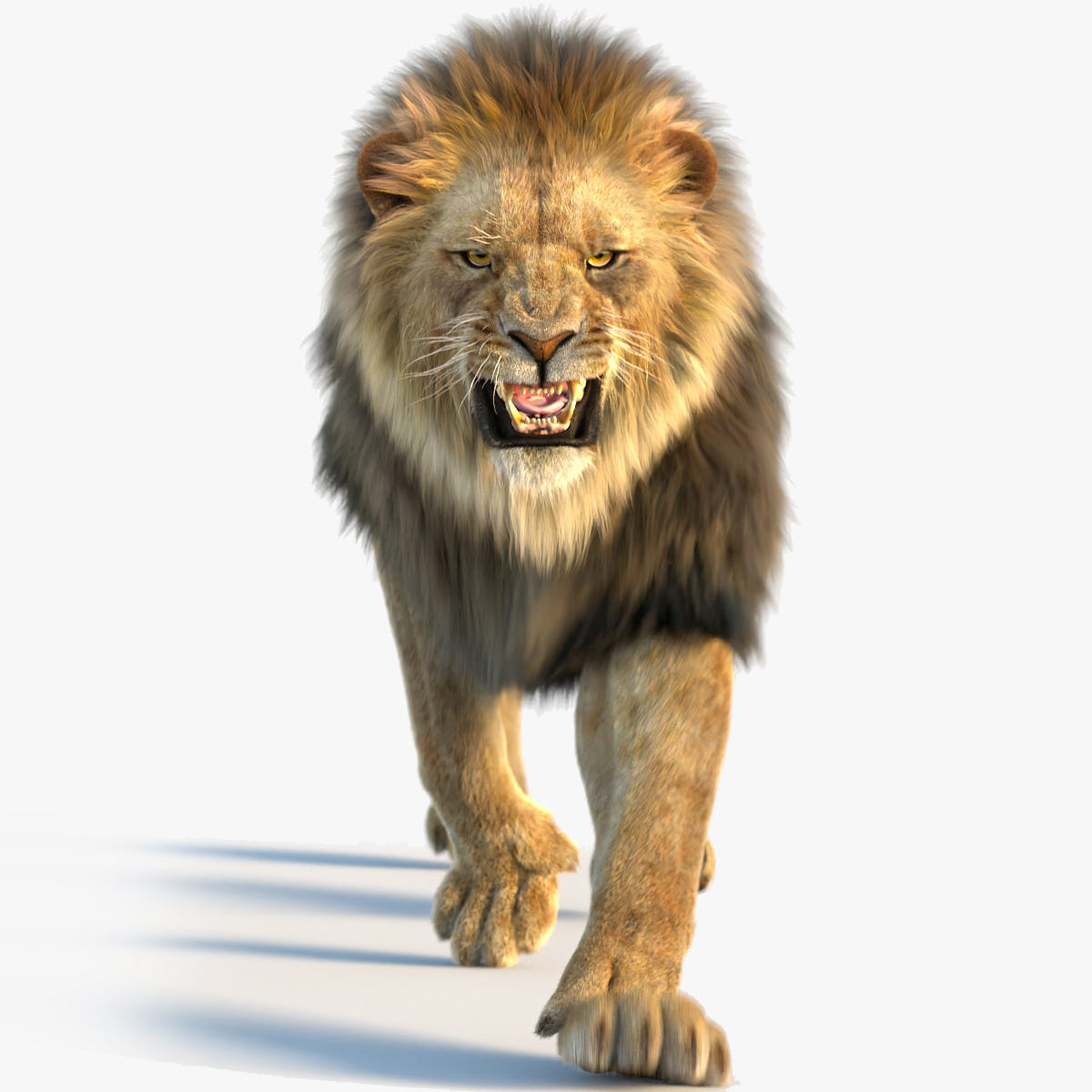 Animated Lion 3D Model with Fur – Signature Pose