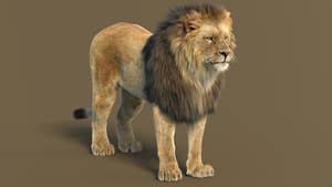 3D Lion Model with Fur – Standing Straight Pose Thumbnail