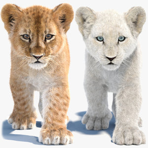 Animated Lion Cub 3D Models Fur | White and Natural Colors Thumbnail