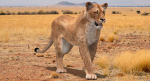 Animated Lioness 3D Model for Download Thumbnail