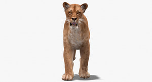 Animated Lioness 3D Model for VR Thumbnail