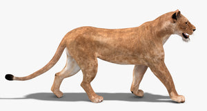Animated Lioness 3D Model for Download Thumbnail
