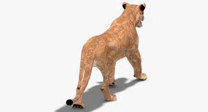 Animated Lioness 3D Model for Game Thumbnail